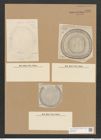 Campylodiscus taeniatus A. Schm. (de-Toni-Nr.: Genus 57, Species 2485) Zeichnungen Sammlung Grunow Nr. 4991 (NHMW-BOT-W0373233)